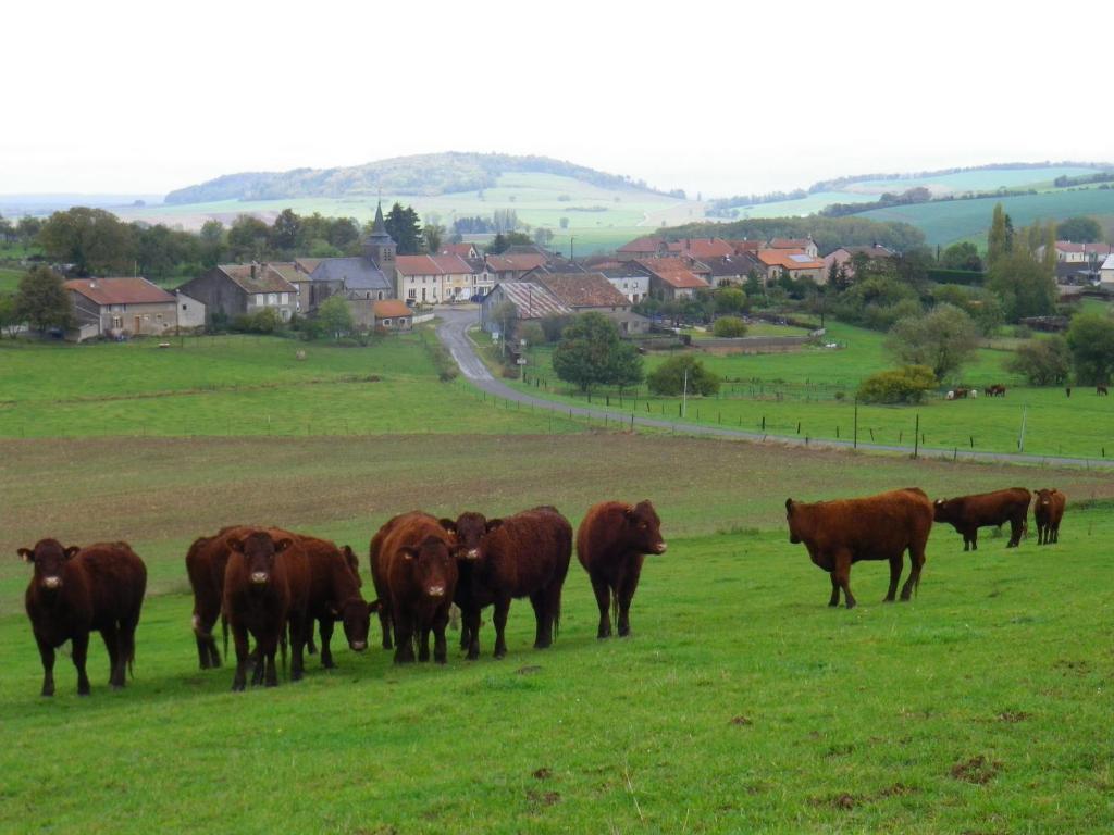 Chambre D'Hotes La Ferme Du Vallon Moirey Экстерьер фото